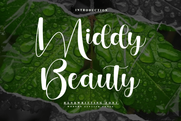 Middy Beauty: A Script Amp Review
