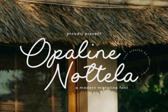 Opaline Nottela: A Modern Font for Web Design